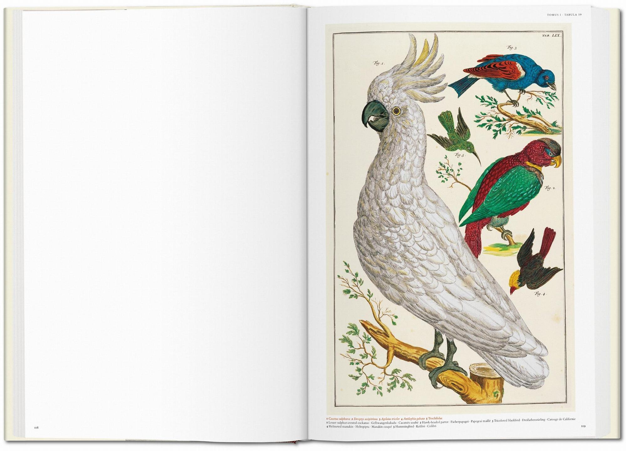 Seba. Cabinet of Natural Curiosities 2