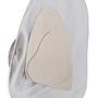 LED Wall Lamp Dorsey 1-Light Clear Glass Iron Beige 3
