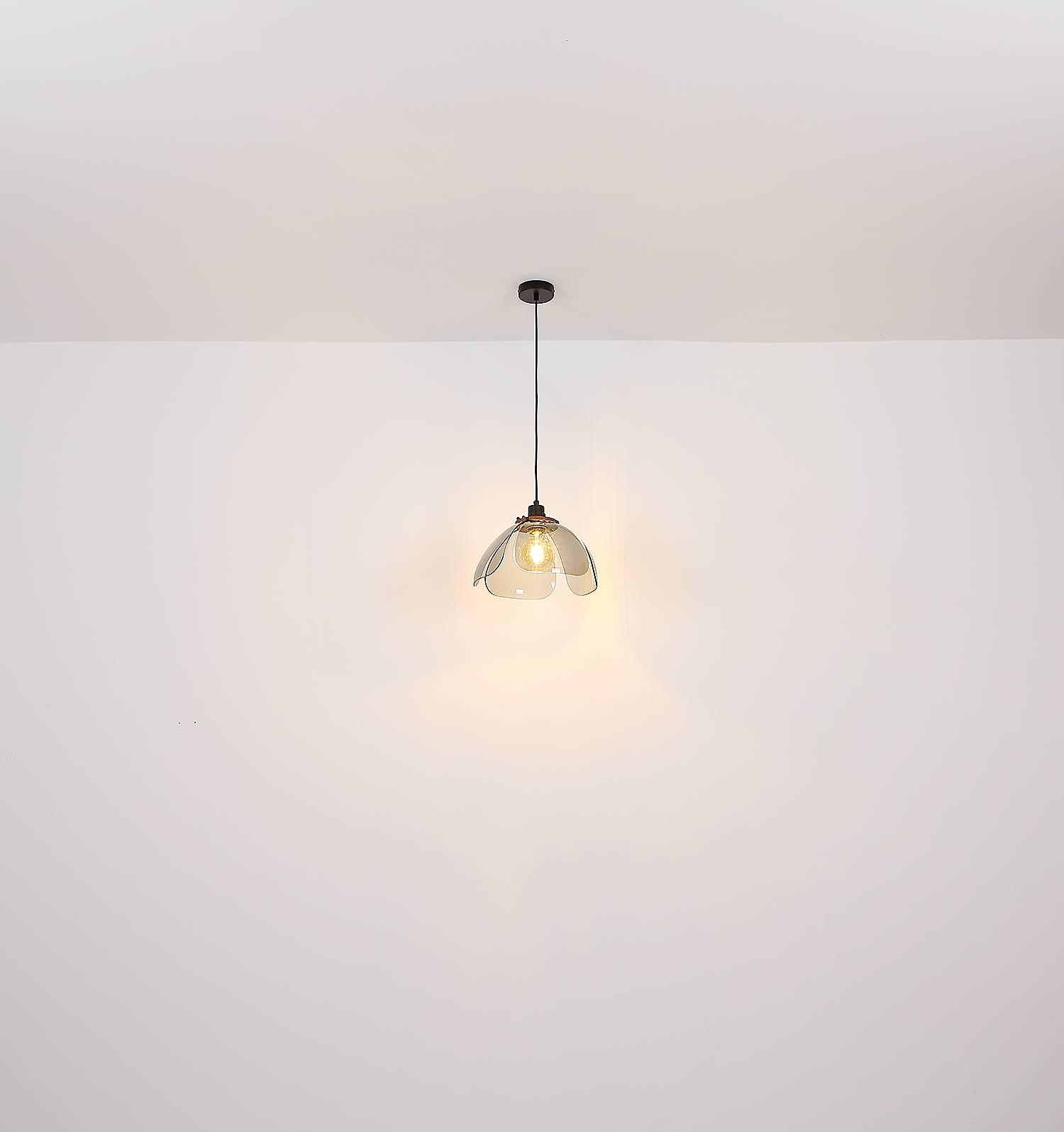 1-Flammig Pendelleuchte Dawar Farbglas Eisen 4