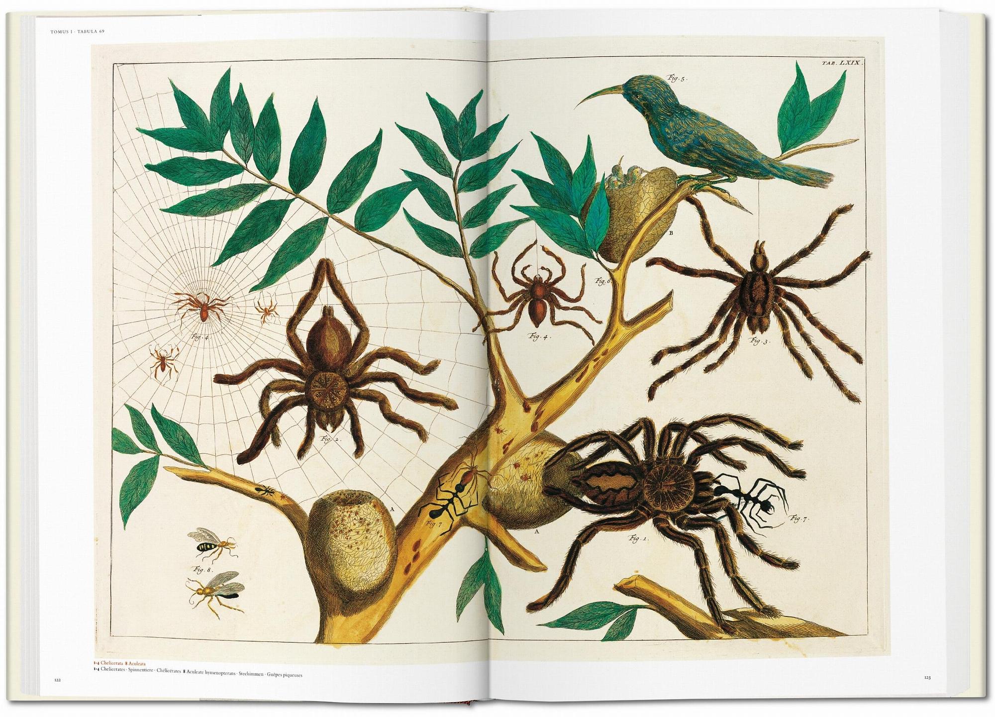 Seba. Cabinet of Natural Curiosities 4
