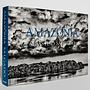 Sebastião Salgado. Amazônia 1