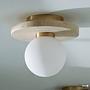 Ceiling lamp Aluxe opal glass / iron 0