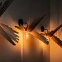 Albatros Wall Lamp Wood 1