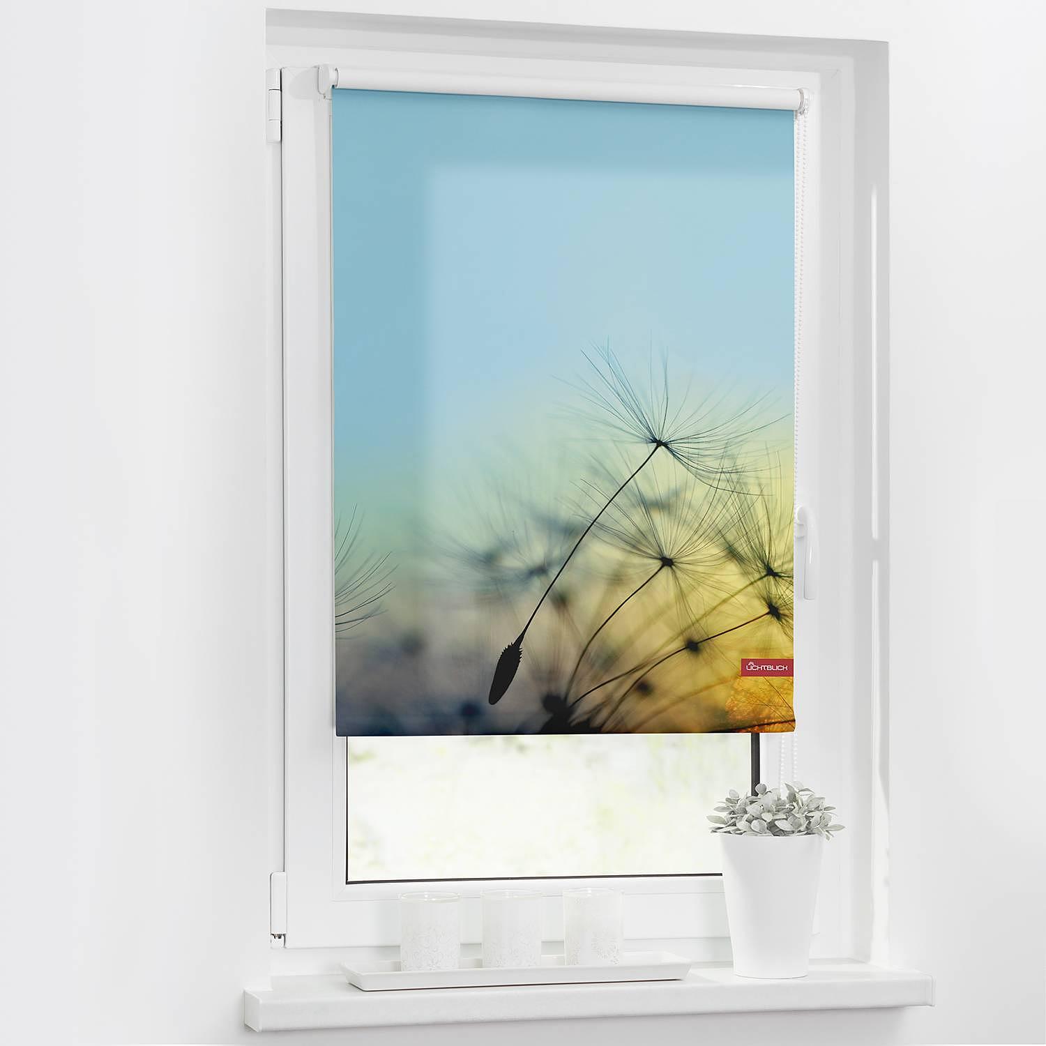 Klemmfix-Rollo Pusteblume Webstoff Hellblau 60 x 150 cm 2