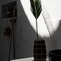 Cutie Vase Schwarz 2