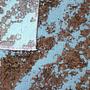Vintage Teppich Wolle Mehrfarbig 5
