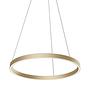 Rim LED-Pendelleuchte Aluminium 1-flammig 0