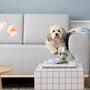 Vilmar Sofa 3-Sitzer Talent Cool Grey 5