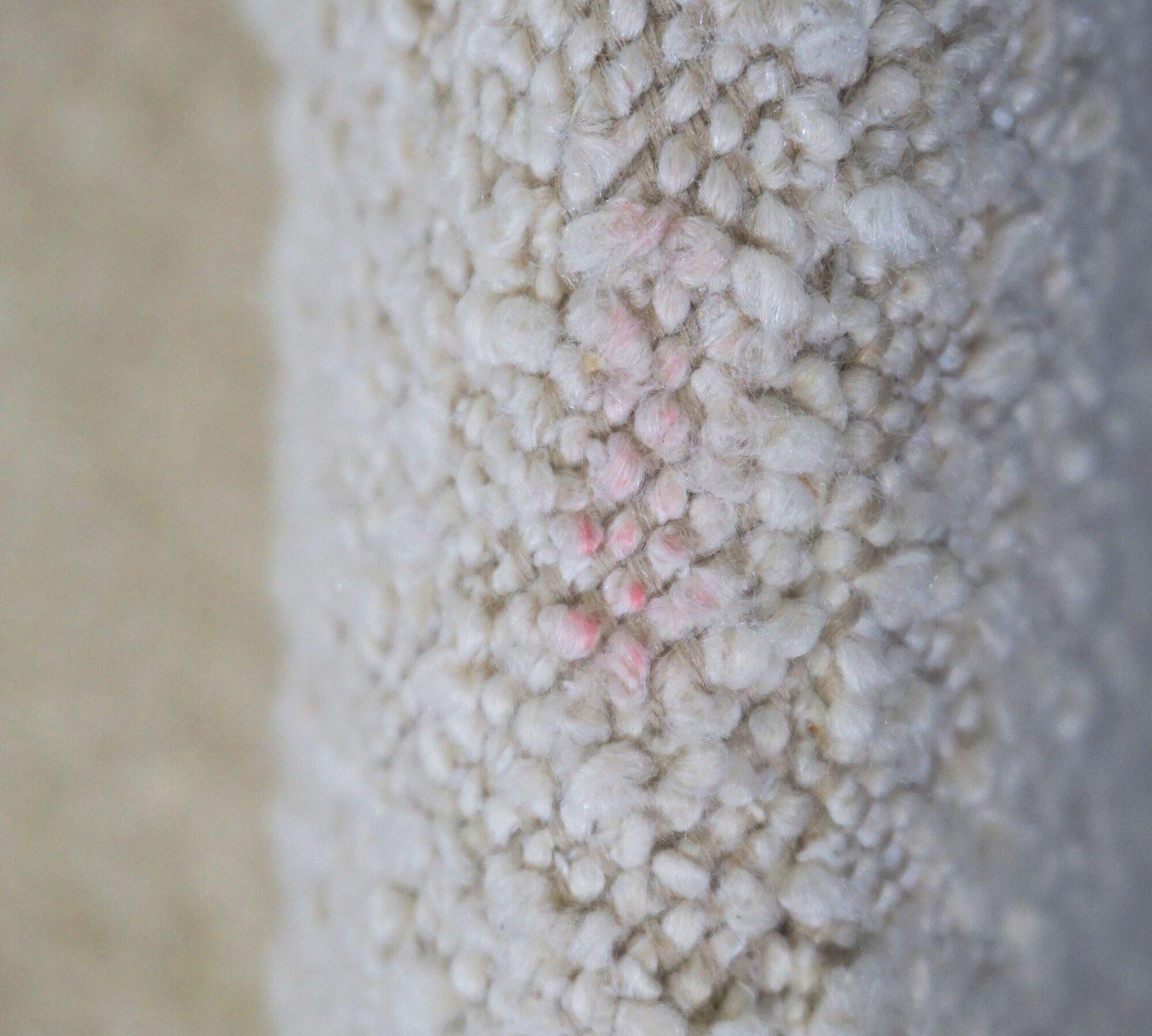 Rosa Esszimmerstuhl Maya Cream 9
