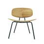 Agave Lounge Sessel Braun 1