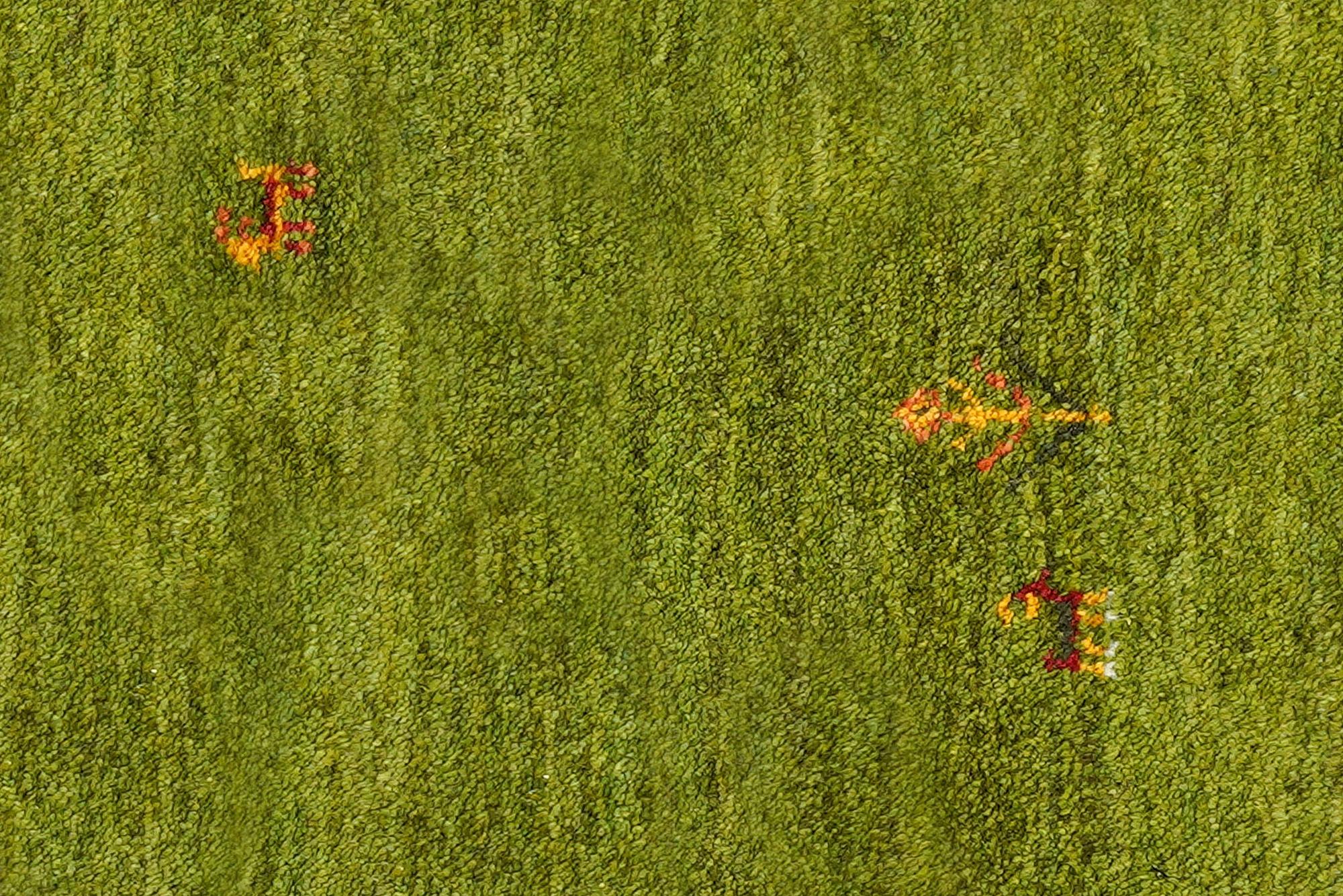 Rizbaf Gabbeh Carpet Wool Green 4