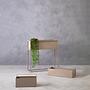 Ascher Wand-Pflanzkasten Grau
 0
