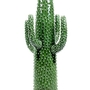 Kaktus Vase Grün 60 cm hoch 0