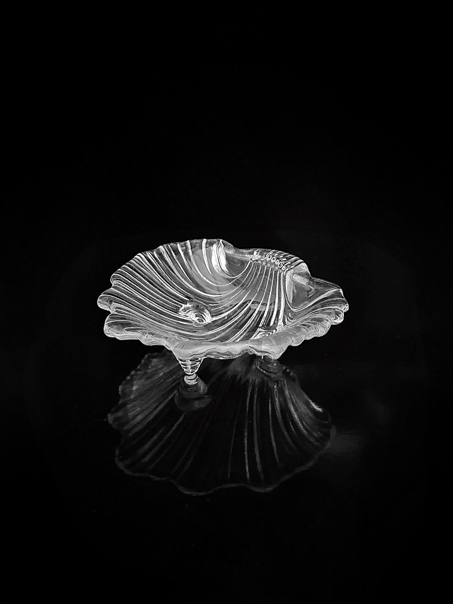 Muschel Schale Glas 1