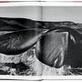 Sebastião Salgado. Genesis 3
