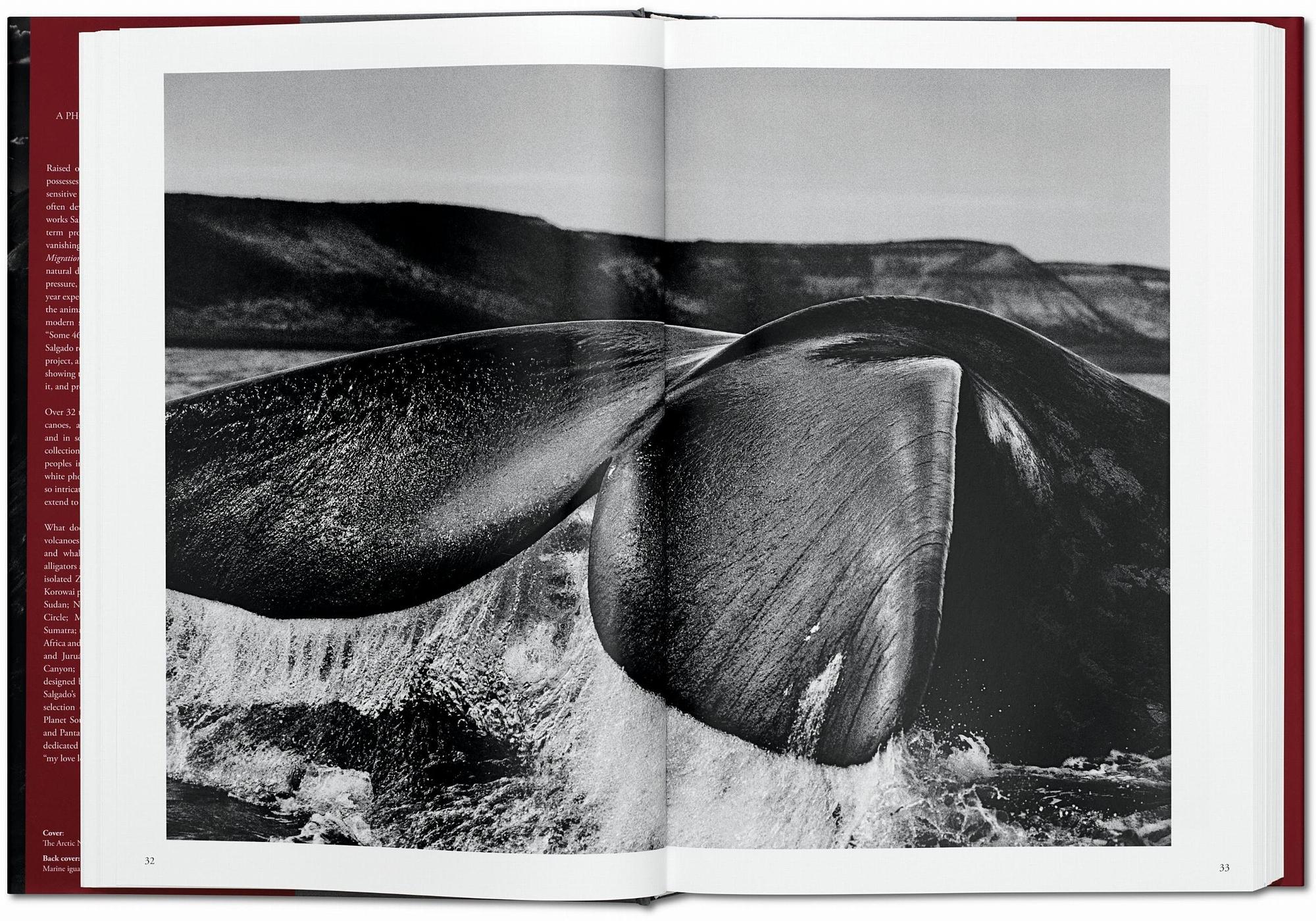 Sebastião Salgado. Genesis 3
