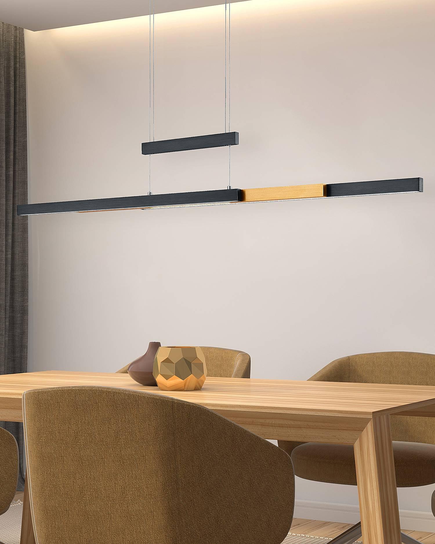 1-flammig LED-Pendelleuchte Trajan Eisen 3