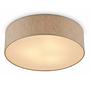 Aural Ceiling Light 1-bulb Linen Iron 0