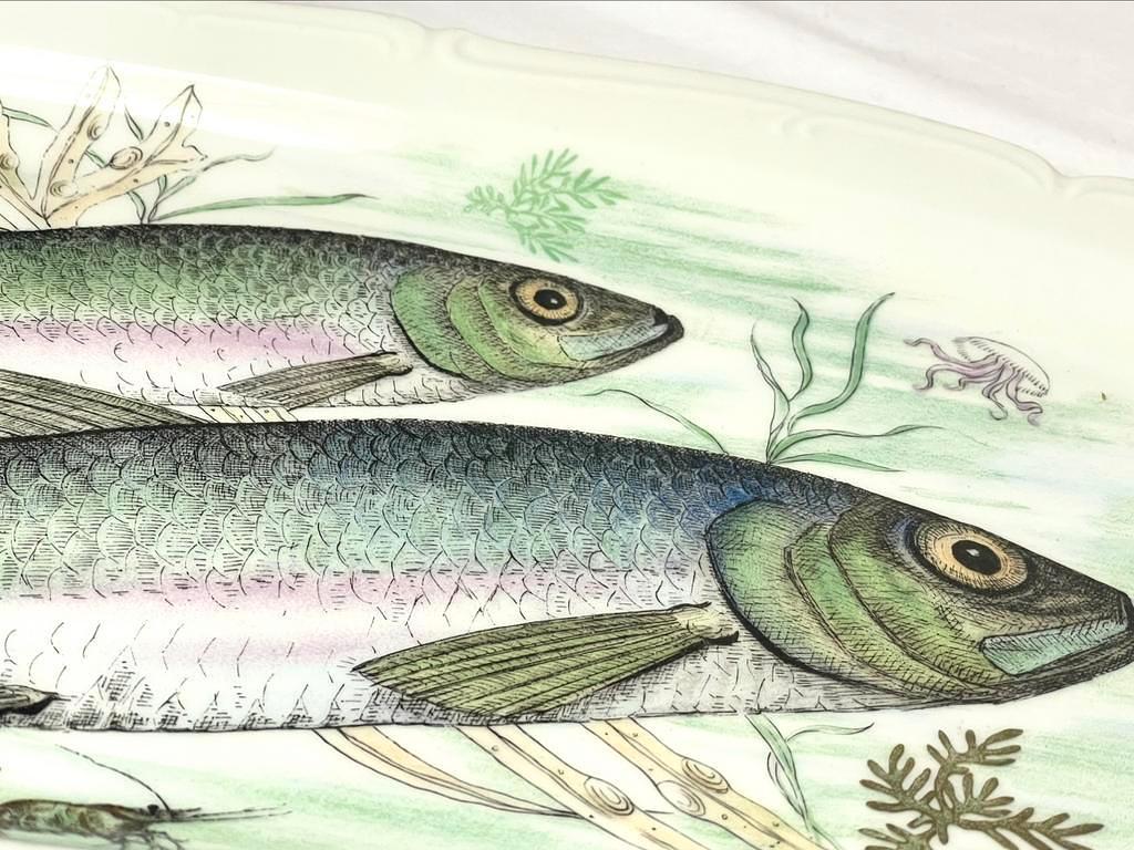 Fischplatte Porzellan Mehrfarbig 2