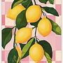 Citrus Art Kunstdruck mit Rahmen Mehrfarbig 1