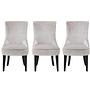 3 Esszimmerstühle aus Holz mit Silbergrauer Samtpolsterung 0