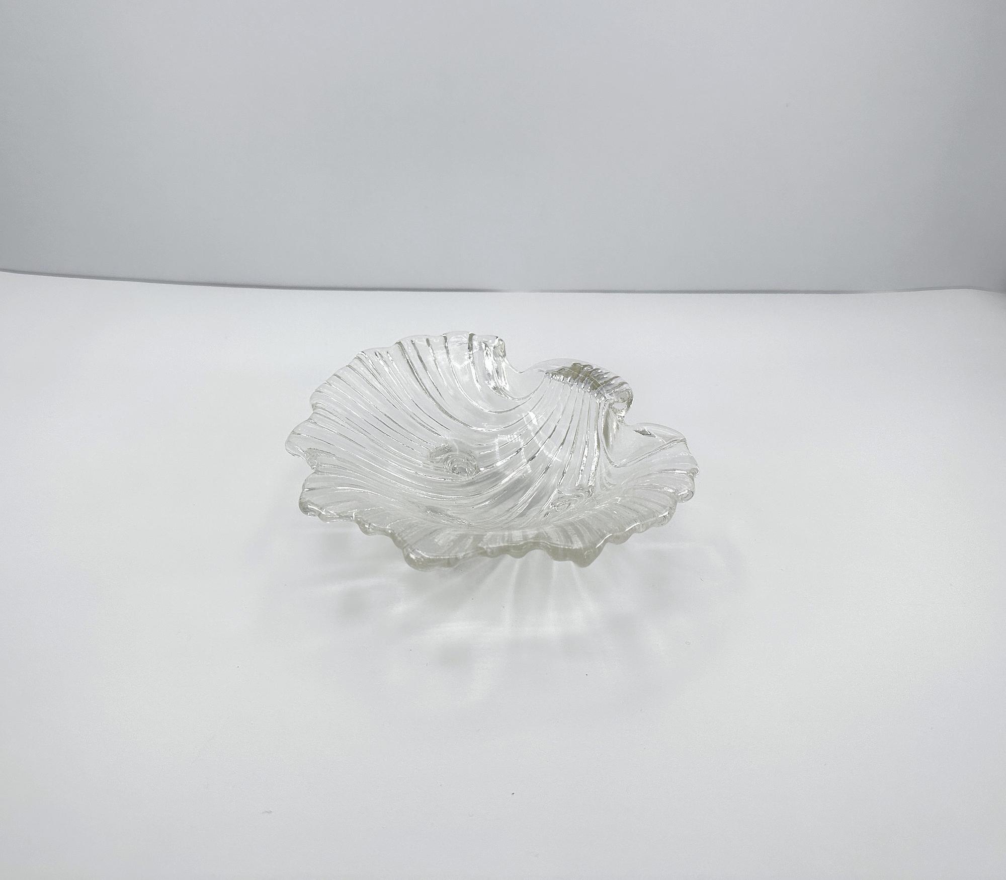 Muschel Schale Glas 5