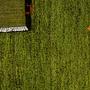 Rizbaf Gabbeh Carpet Wool Green 5