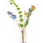 Bouquet Vaso Vetro Rosa 0