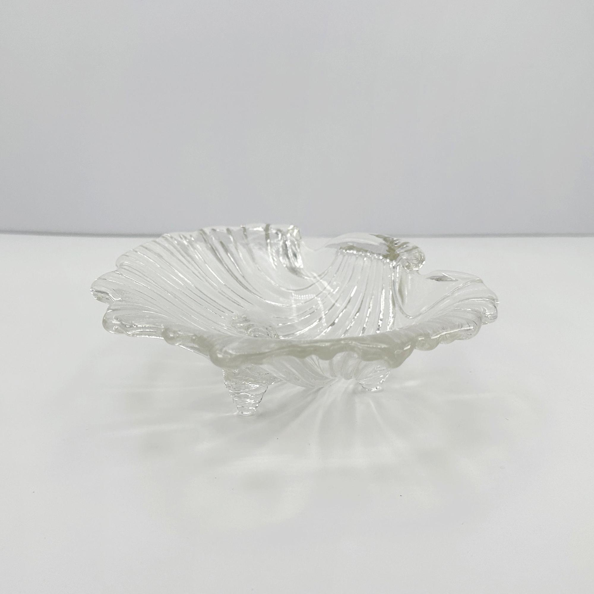 Muschel Schale Glas 4