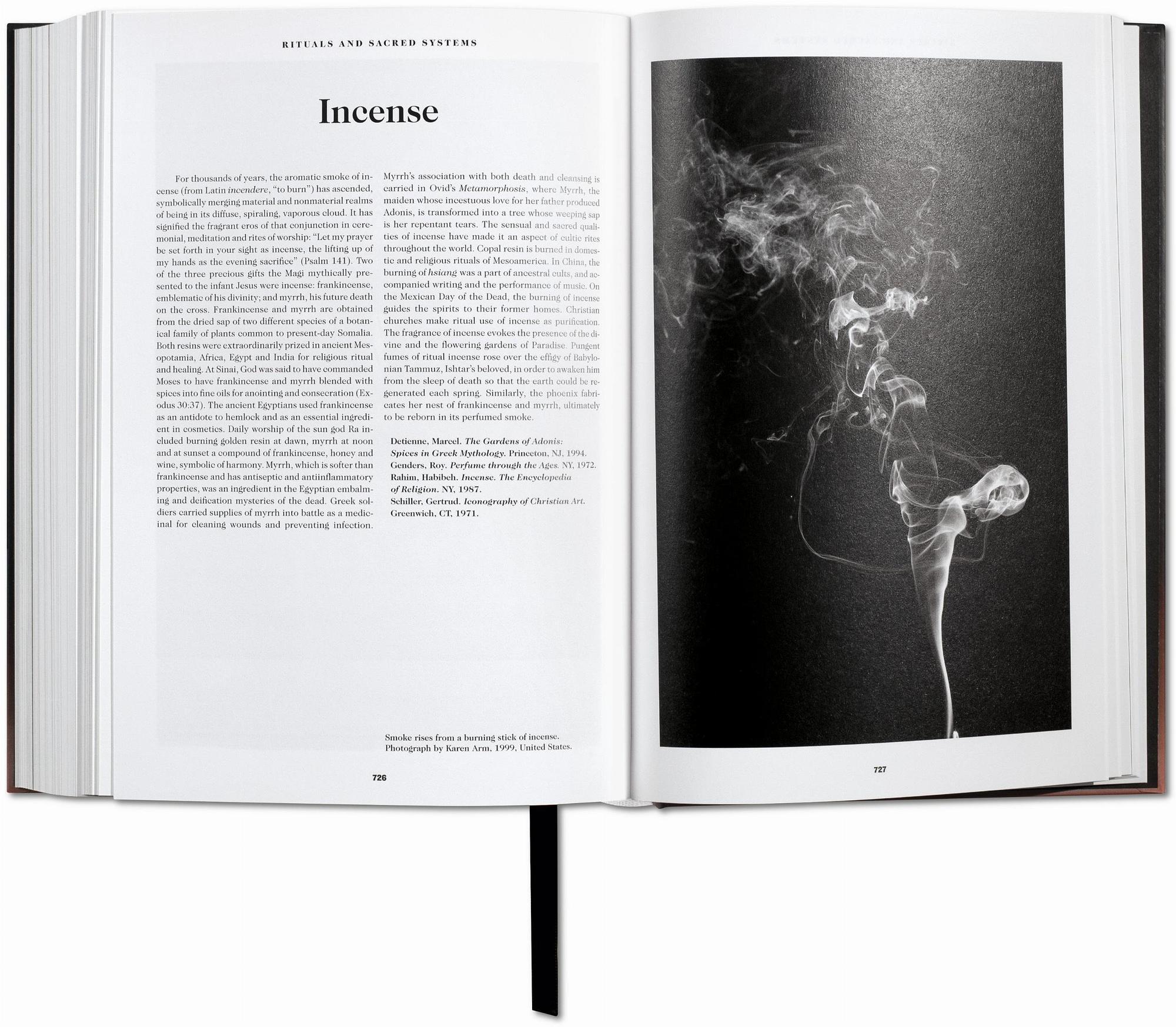 Das Buch der Symbole: Archetypische Bilder 7
