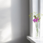 Bon Bon Vase Transparent 4