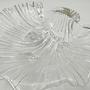 Muschel Schale Glas 6