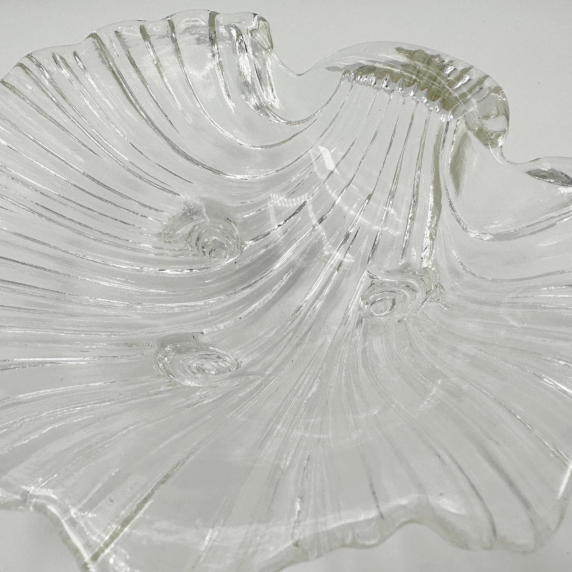 Muschel Schale Glas 6
