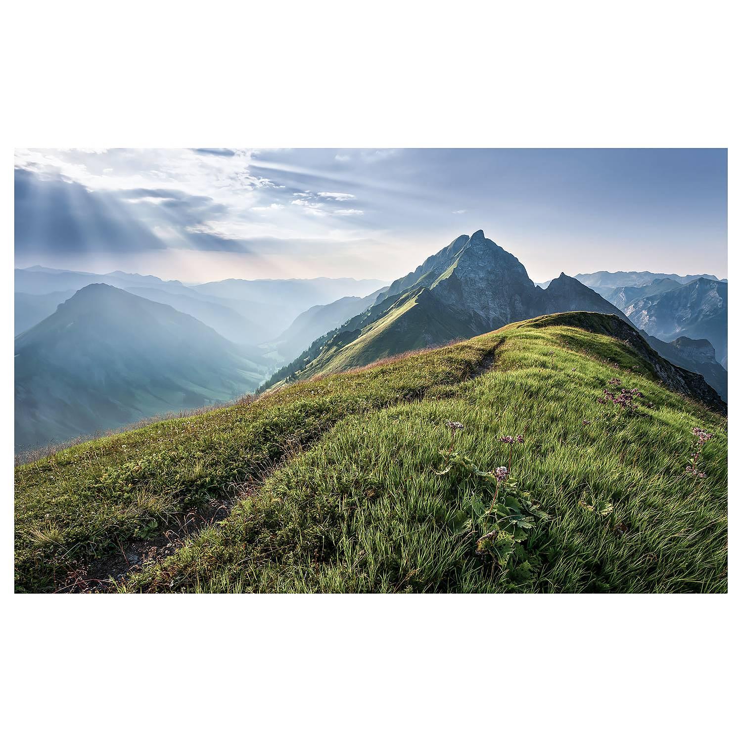 Vlies Fototapete Green Vein Vlies Grün / Blau / Weiß 1