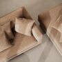 Douglas Hocker Aulla Caramel 4