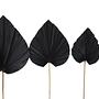4x Dekoratives Palmblatt Schwarz 2