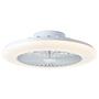 Salerno LED ceiling fan 1-light iron pine white 0