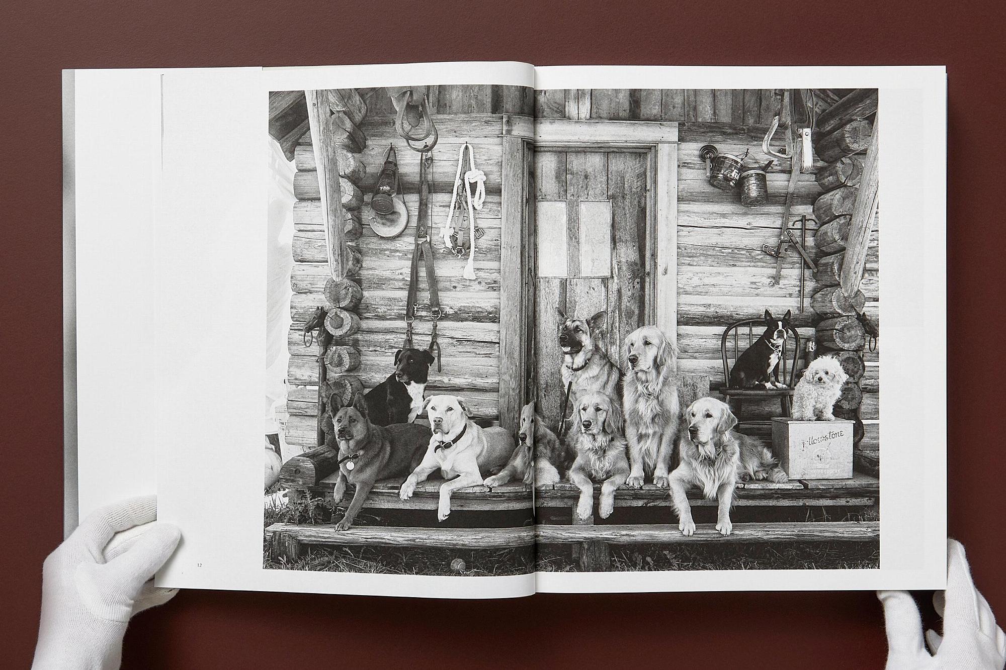 Bruce Weber. The Golden Retriever Photographic Society 8