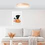 LED-Deckenleuchte Moreen Polyethylen Gummibaum Massiv 2