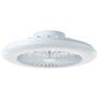 Salerno LED-Deckenventilator 1-flammig Eisen Kiefer Weiß 2