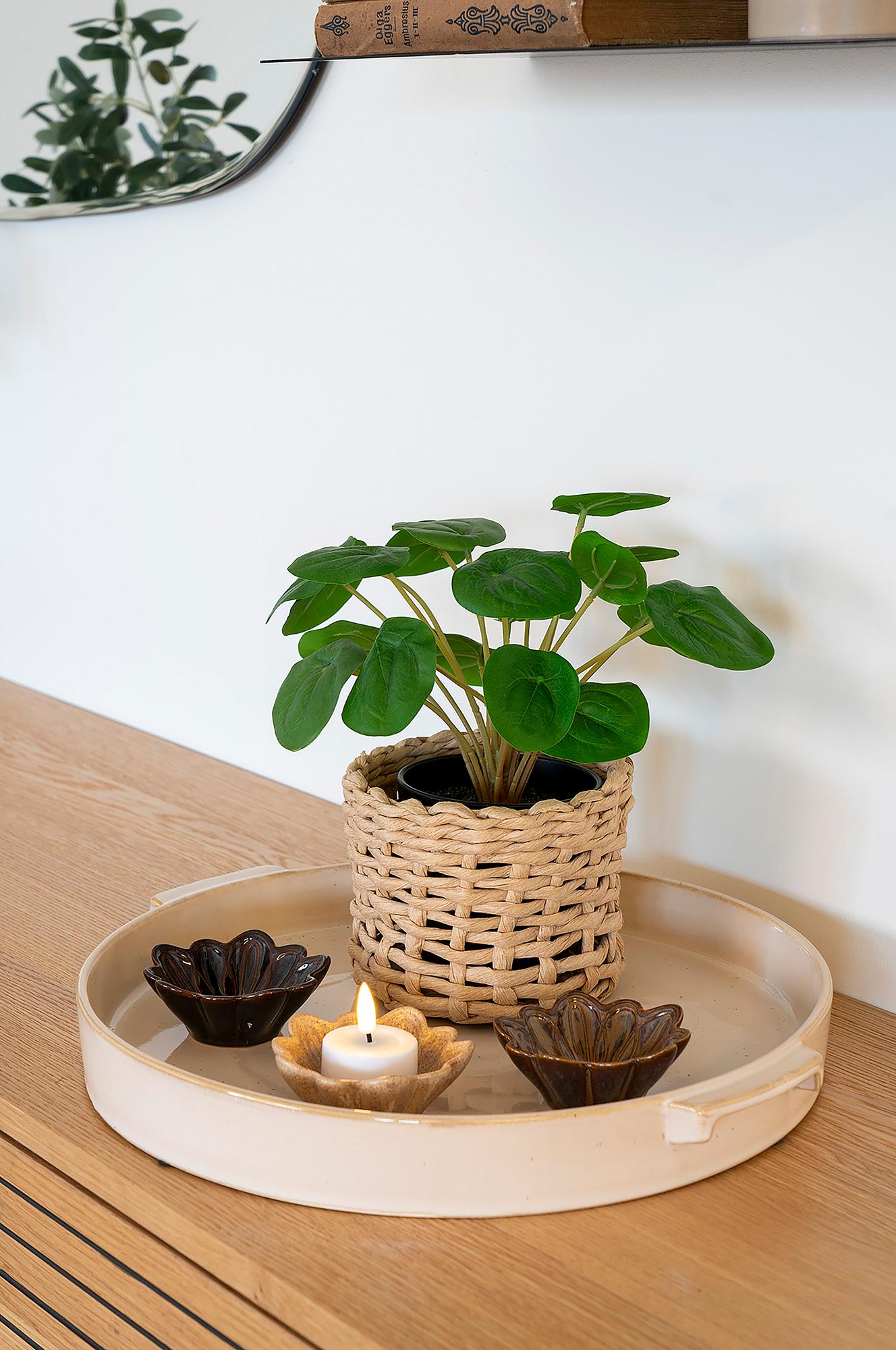 Kunstpflanze Pelia Grün Polyethylen 28 x 28 x 28 cm 2