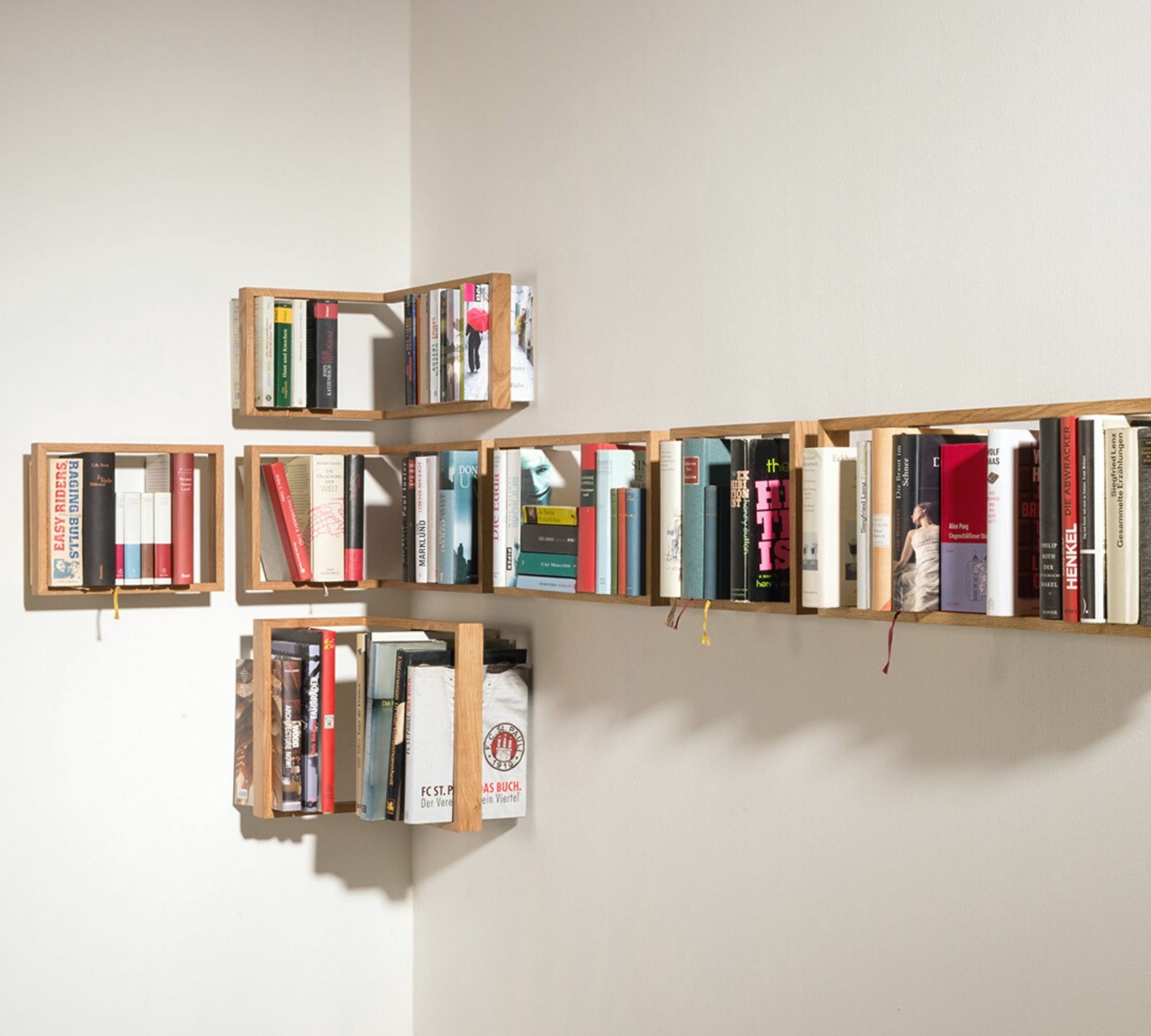 Bücherregal mit Eichenrahmen b9 Kratzspuren tief 9