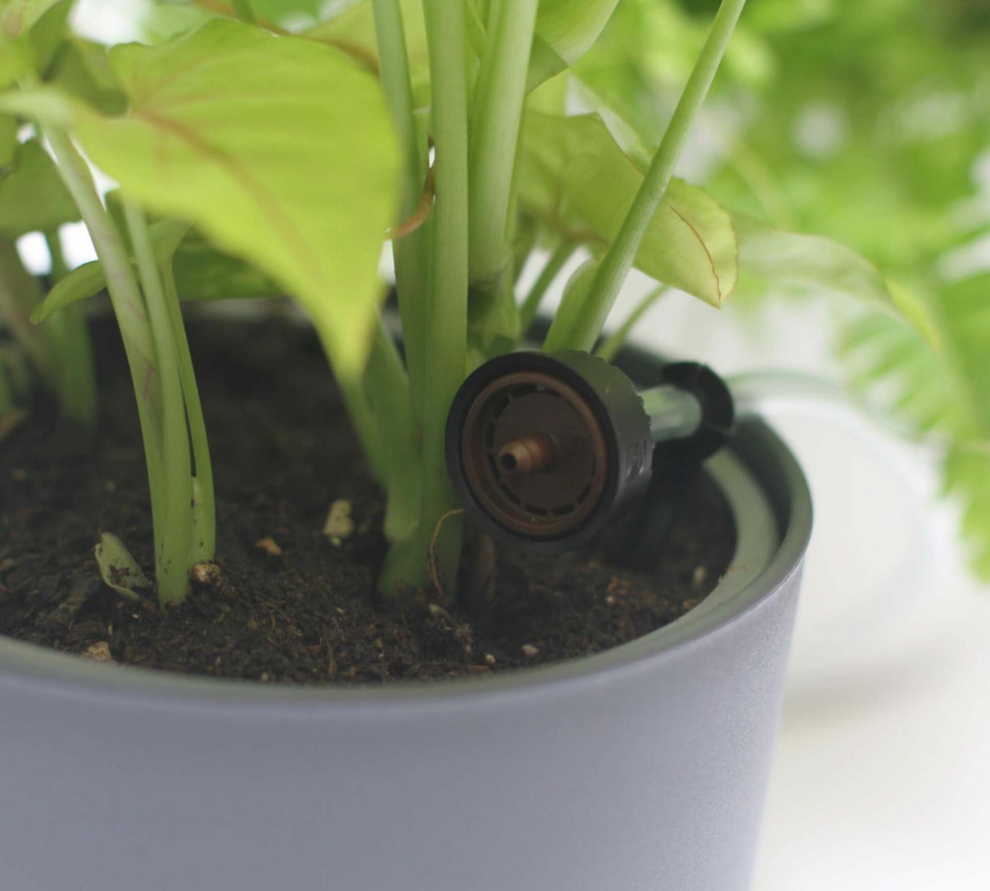 Automatic drip irrigation with Wifi control Grey 2