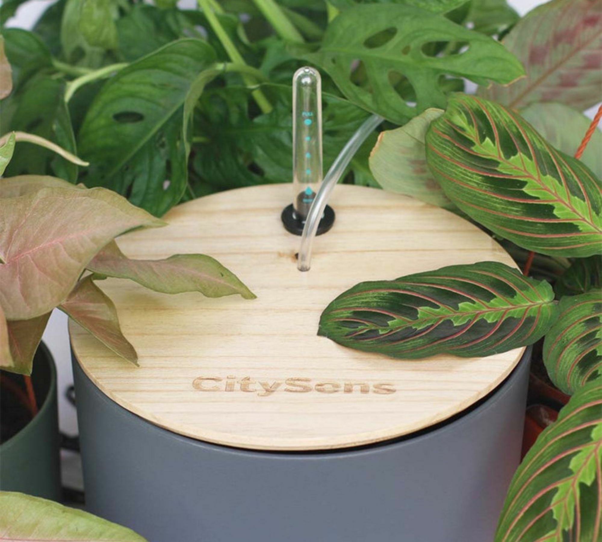 Automatic drip irrigation with Wifi control Grey 3