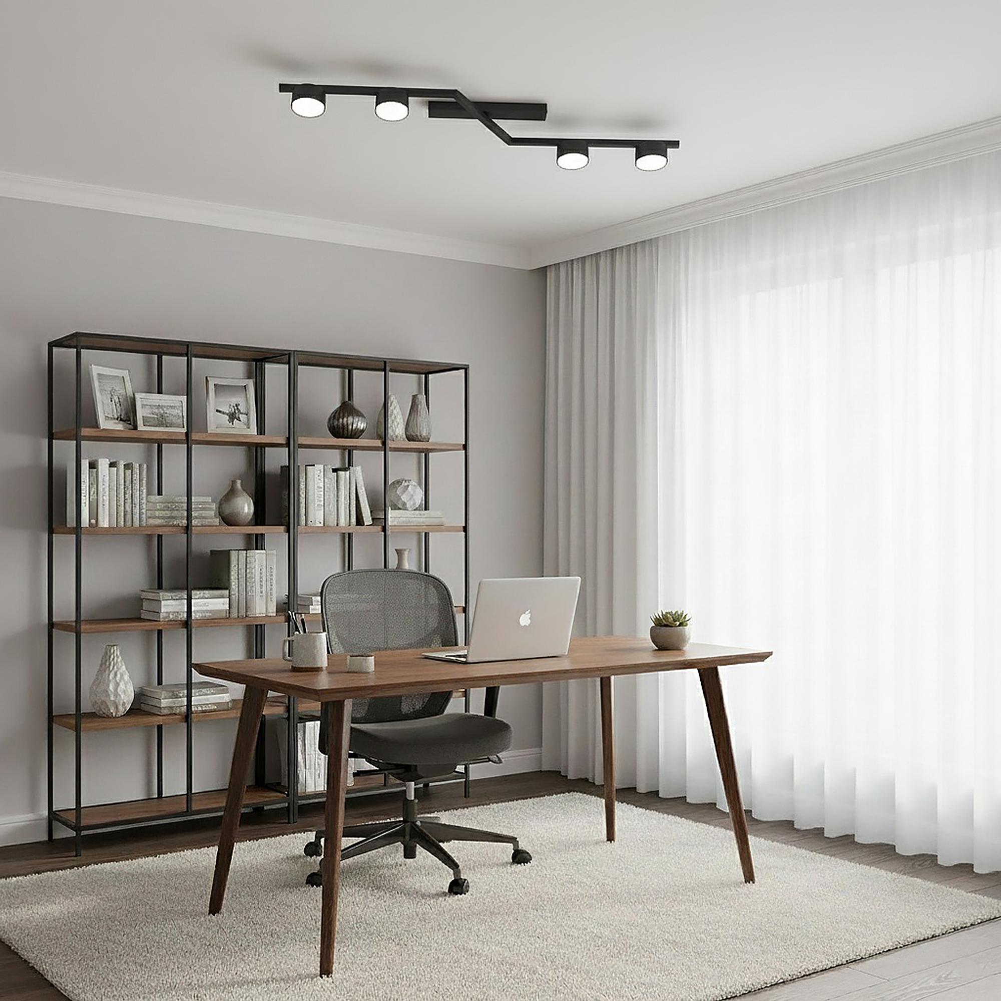 Ceiling Light Skan 4-Light Steel Black 2