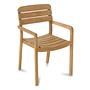 Lodge Armchair Wood Brown 0