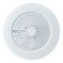 Salerno LED ceiling fan 1-light iron pine white 3