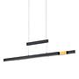 1-flammig LED-Pendelleuchte Trajan Eisen 1