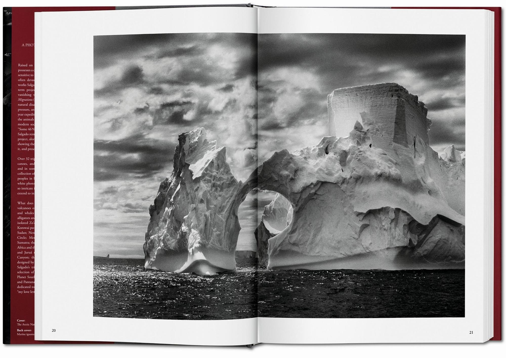 Sebastião Salgado. Genesis 2