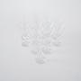 Crystal glasses 11x Transparent 4